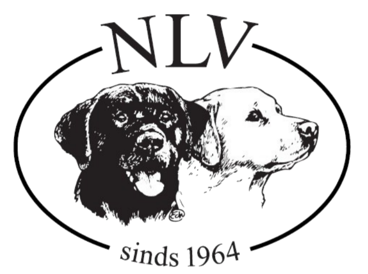 nlv logo